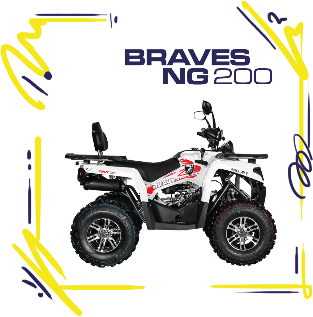 BRAVES-NG-200