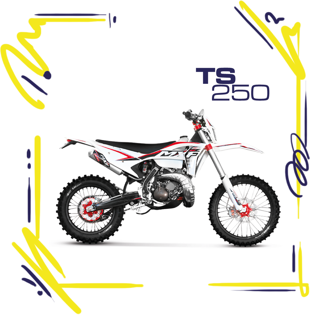 TS-250